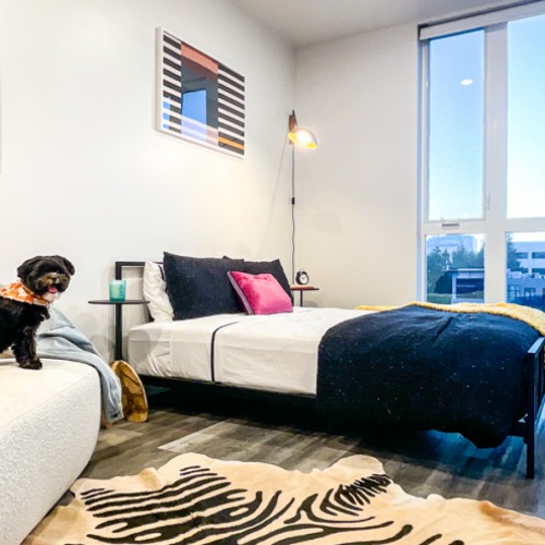 Pet-Friendly Pet-Friendly