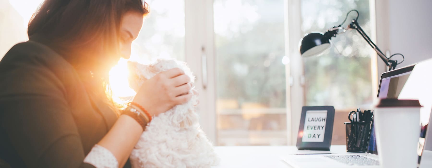lifestyle image of a young professional woman holding her pet beside sun-rays coming through a large window